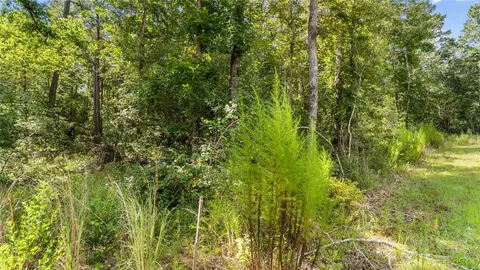 194 Exploration Rd, Willis, TX 77378 photo 6