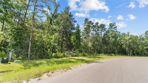 194 Exploration Rd, Willis, TX 77378 photo 5
