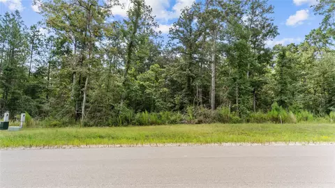 194 Exploration Rd, Willis, TX 77378 photo 3