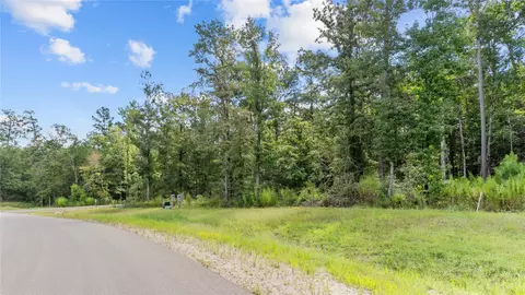 194 Exploration Rd, Willis, TX 77378 photo 4