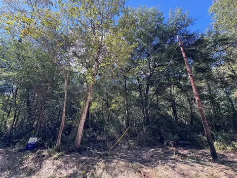 lot242 Mehringer Rd, Shepherd, TX 77371