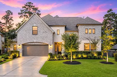 359 Calmato Woods Way, Willis, TX 77318