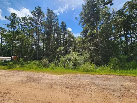 01 Hollybrook Dr, Plantersville, TX 77363