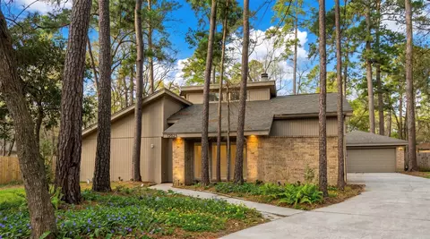 12025 Acorn Oak St, The Woodlands, TX 77380