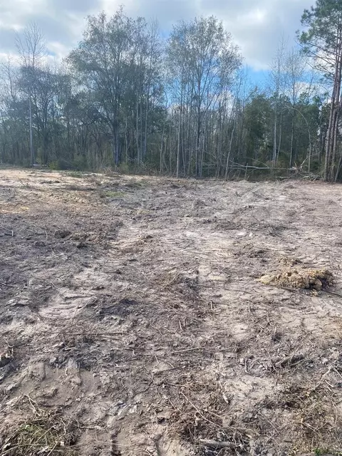 0 Railroad Ave, Shepherd, TX 77371