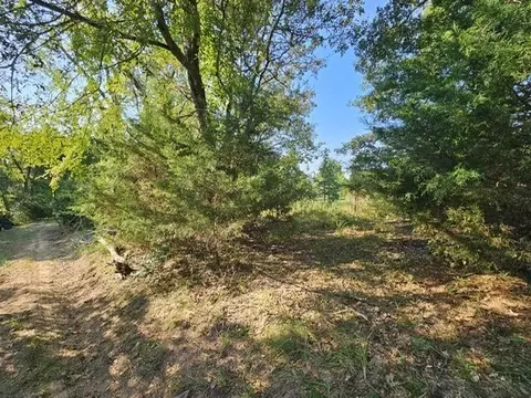 223 An County Road 4250, Palestine, TX 75803