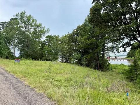 144 Lori Ln, Trinity, TX 75862 photo 3
