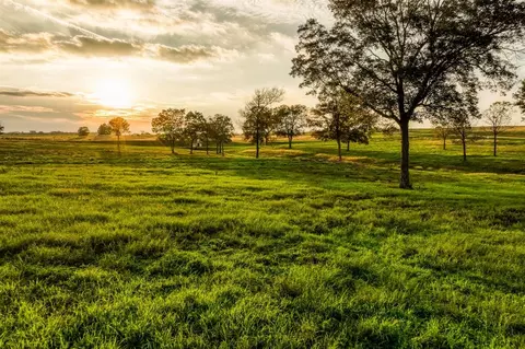 lot20 Sunny Meadow Dr, Chappell Hill, TX 77426