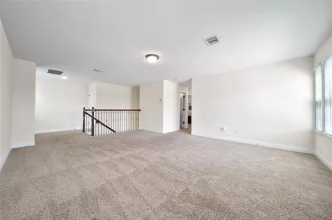Other - 23834 Willow Haven Dr, Spring, TX 77389 photo 9 of 10