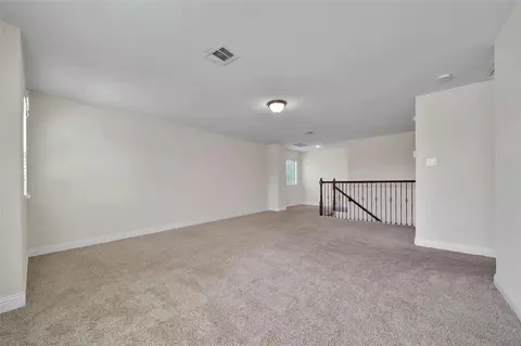 Other - 23834 Willow Haven Dr, Spring, TX 77389 photo 8 of 10