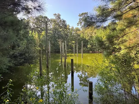 View/Area - 9800 Ramzi Dr, Conroe, TX 77303 photo 1 of 1