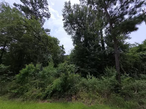 tbd E Cattle Dr, Onalaska, TX 77360 photo 6