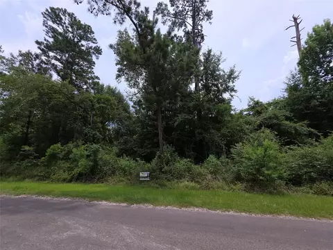 tbd E Cattle Dr, Onalaska, TX 77360