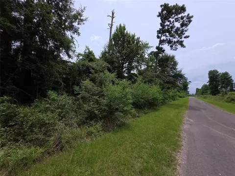 tbd E Cattle Dr, Onalaska, TX 77360 photo 5