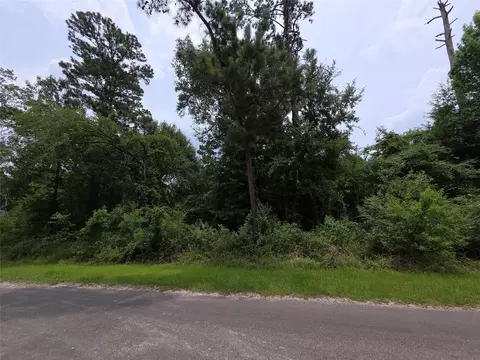 tbd E Cattle Dr, Onalaska, TX 77360 photo 3