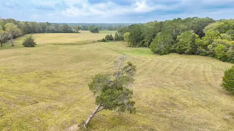 Other - tbd Molk Rd, Willis, TX 77378 photo 5 of 24