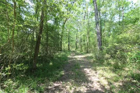 Other - tbd Molk Rd, Willis, TX 77378 photo 16 of 24
