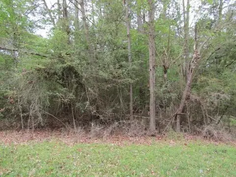 lot21 Gnu St, Onalaska, TX 77360 photo 2