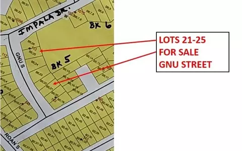 lot21 Gnu St, Onalaska, TX 77360 photo 30