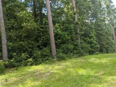 lot21 Gnu St, Onalaska, TX 77360 photo 22