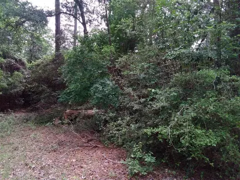 lot21 Gnu St, Onalaska, TX 77360 photo 24