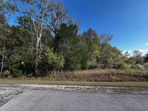 165 N Pine Harbour Dr, Coldspring, TX 77331