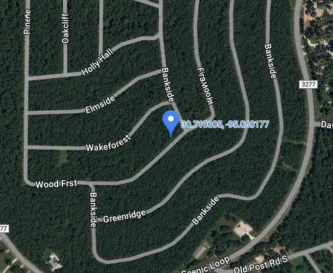 lot S 448 449 450 Wood Frst, Livingston, TX 77351