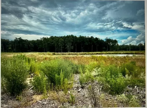 Tbd Lot 3 County Road 2184, Cleveland, TX 77327