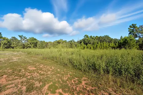 tbd Tx-19, Riverside, TX 77367 photo 24