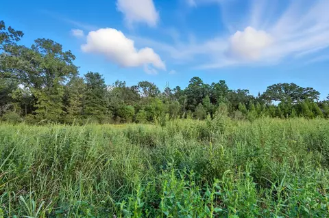 tbd Tx-19, Riverside, TX 77367 photo 22