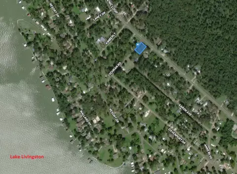 133 Ernest Cochran Rd, Livingston, TX 77351