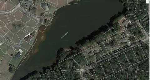 0 Heather Ln, Trinity, TX 75862 photo 4