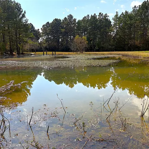 15031 N Fm-542, Oakwood, TX 75855