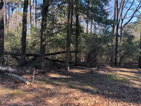 0 Pike Lot 361 Dr, Hemphill, TX 75948