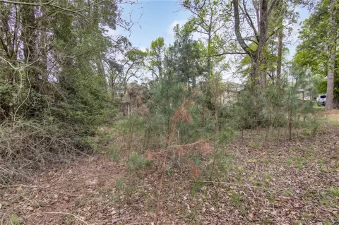 Exterior - 18207 Lark Ln, Conroe, TX 77384 photo 6 of 6