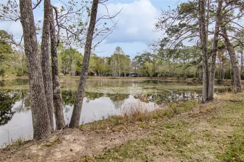 View/Area - 18207 Lark Ln, Conroe, TX 77384 photo 1 of 6