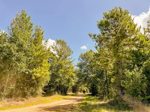 000 Cr 367cr 368, Zavalla, TX 75980