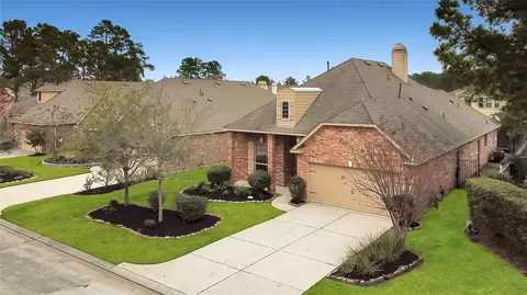 View/Area - 10 Tallgrass Way, Spring, TX 77389 photo 2 of 3