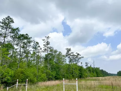 00 Cravens Camp Rd, Silsbee, TX 77656 photo 4