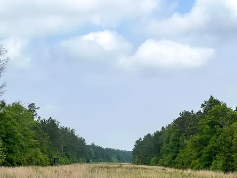 00 Cravens Camp Rd, Silsbee, TX 77656 photo 3