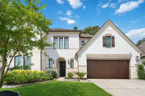 17464 Chestnut Cove Dr, Conroe, TX 77302