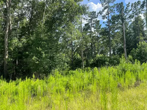 lot25 Rolling Pines Dr, Livingston, TX 77351