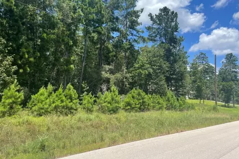 181 Sky Oak Lane Ln, Huntsville, TX 77340