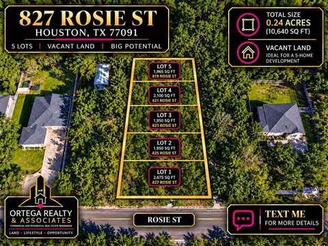 819 Rosie St, Houston, TX 77091