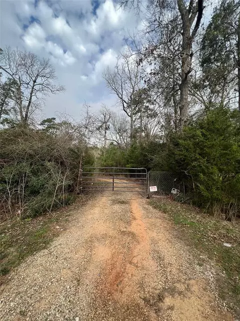 16029 Plaster Cir, Conroe, TX 77303 photo 1