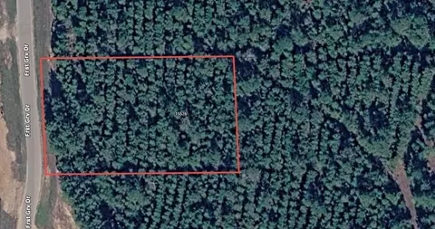 15576 Forest Grove Dr, Willis, TX 77378