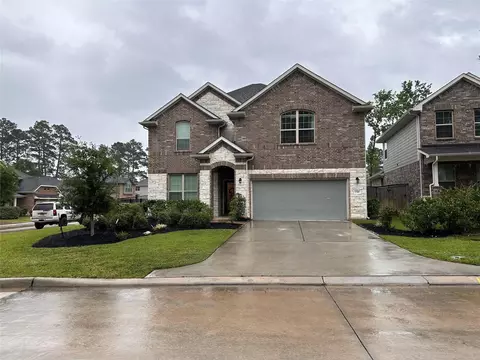 236 Rose Gum Ct, Willis, TX 77318