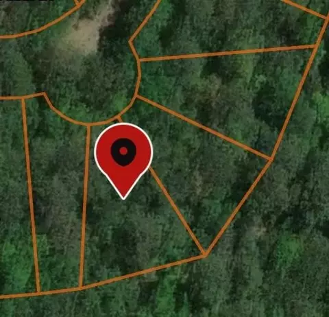 000 Deergrass Dr, Brookeland, TX 75931