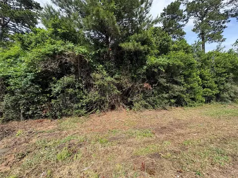 0 Moore, Tomball, TX 77375 photo 7