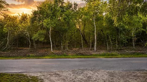 tbd Lot 1 County Road 647, Guy, TX 77444